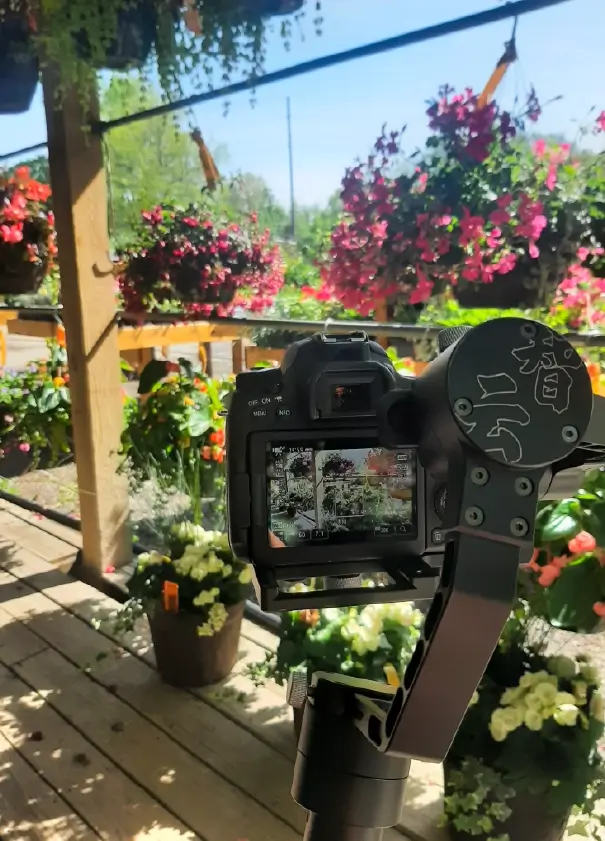 camera photographing flowers